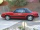1985 Ford Mustang Gt Convertible 5.  0l Mustang photo 1