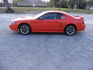 2004 Ford Mustang Gt Coupe 2 - Door 4.  6l photo