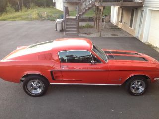 1967 Ford Mustang Fastback photo