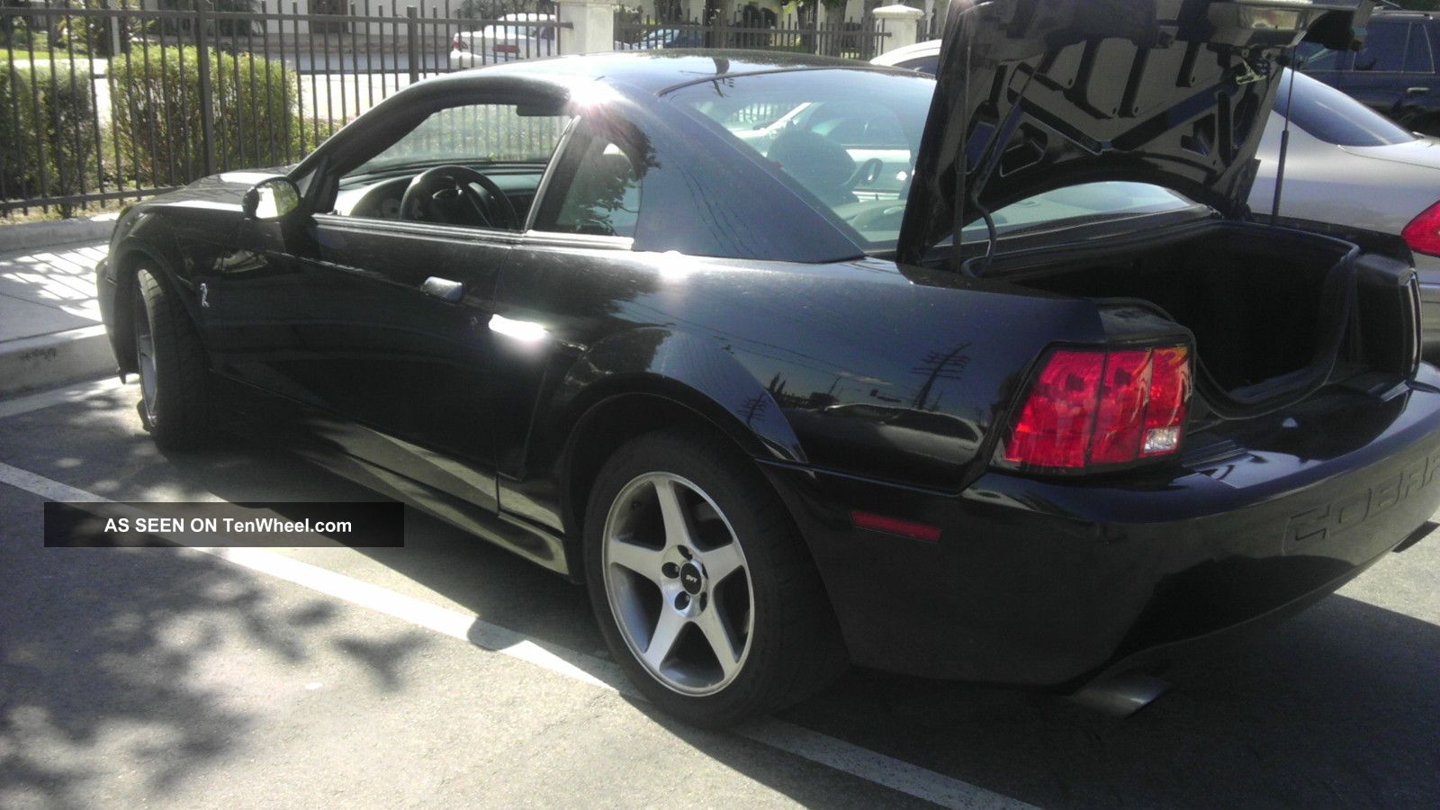 2003 Ford Mustang Cobra 1 Of 1 Recorded For Knight Rider