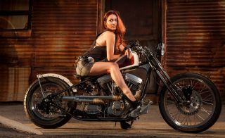2012 Harley Davidson Custom Bobber / Chopper Hot Bike Show Bike photo