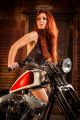 2012 Harley Davidson Custom Bobber / Chopper Hot Bike Show Bike Other photo 3