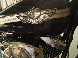 2003 Harley Davidson 100th Anniversary Fatboy Softail Flstfi 3500 Mile Wow photo