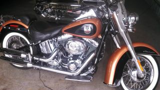 2008 Softail Harley - Davidson photo