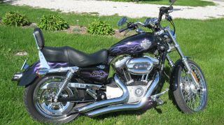 2004 Harley Davidson Xl Custom Sportster photo