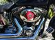 2004 Harley Davidson Flstf Soft Tail 8k Extra Chrome Custom Rims Blue Softail photo 2