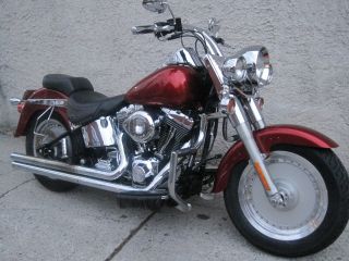 2003 Harley Davidson Fatboy (softail) photo