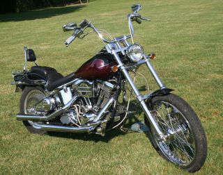 1991 Harley Davidson Softail Custom Fxstc Chopped Ghost Graphics Long Low Wide photo