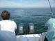 2005 Seaswirl Offshore Saltwater Fishing photo 2