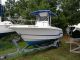 2000 Pro - Line Sport Offshore Saltwater Fishing photo 2