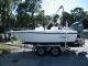 2000 Pro Sport Offshore Saltwater Fishing photo 1
