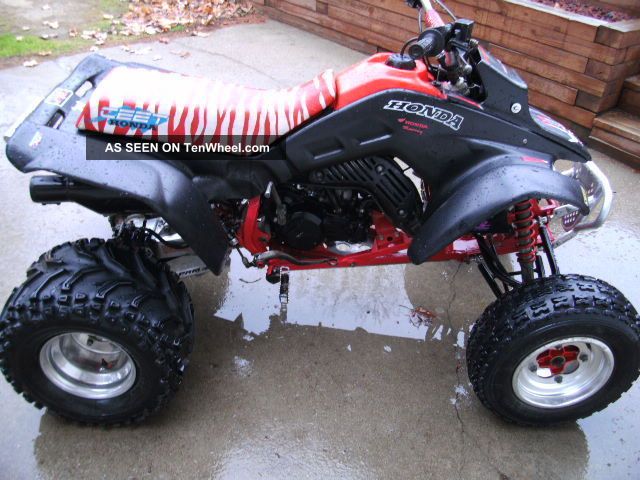 1988 Honda Fourtrax TRX250R Roller For Sale Or Trade In New Boston MI - Foto 3