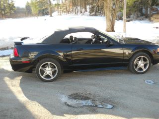 1999 Mustang Gt Convertable 35th Anniversary Edtion photo
