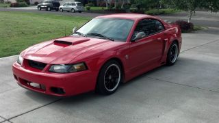 2004 Mustang Gt,  Rims / Tires,  Plus Add Ons photo