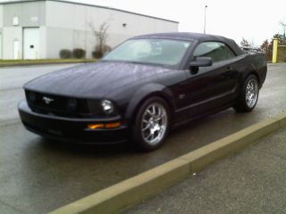 2006 Ford Mustang Gt Convertible 2 - Door 4.  6l Turbo photo