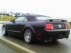 2006 Ford Mustang Gt Convertible 2 - Door 4.  6l Turbo Mustang photo 4