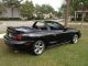 1998 Ford Mustang Gt Convertible 2 - Door 4.  6l Must Sell Mustang photo 10
