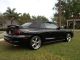 1998 Ford Mustang Gt Convertible 2 - Door 4.  6l Must Sell Mustang photo 1