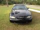 1998 Ford Mustang Gt Convertible 2 - Door 4.  6l Must Sell Mustang photo 3