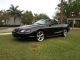 1998 Ford Mustang Gt Convertible 2 - Door 4.  6l Must Sell Mustang photo 8