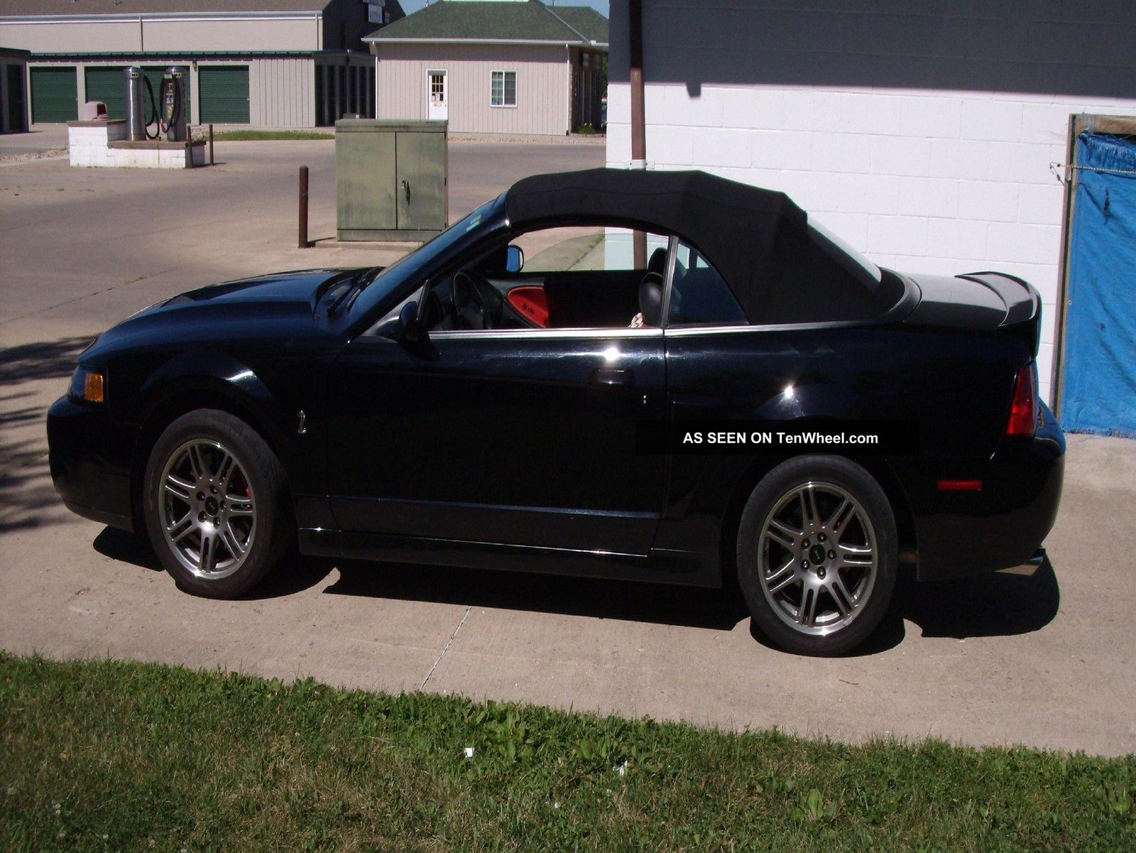 2003 Ford Mustang Svt Cobra 10th Anniversary Convertible 2