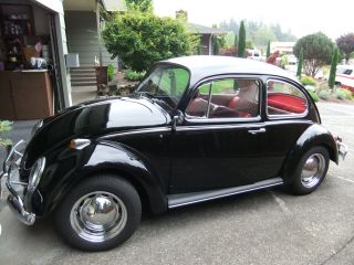 1966 Vw Beetle 1300 Volkswagon Bug 2 Door Black photo