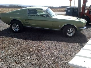 1967 Ford Mustang Fastback photo