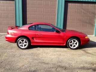 1998 Ford Mustang Svt Cobra Coupe 2 - Door 4.  6l photo