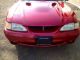 1998 Ford Mustang Svt Cobra Coupe 2 - Door 4.  6l Mustang photo 1