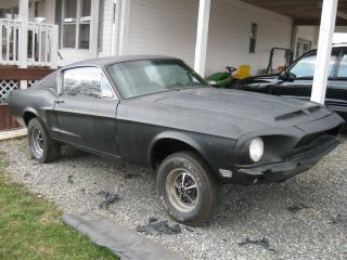 1968 Gt - 500 Shelby Fastback Mustang Clone Project 68 photo