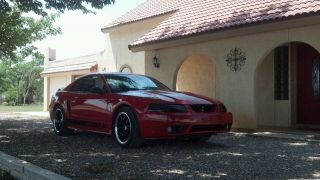 1999 Ford Mustang Svt Cobra Coupe 2 - Door 4.  6l photo
