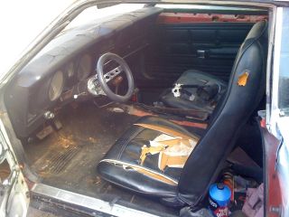 1972 Mustang Fastback Automatic.  351c Classic Project.  Mach 1 photo