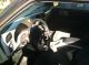 2001 Chevy S10 Xtreme With Custom Paint S-10 photo 2