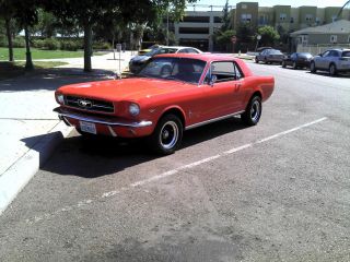 1965 Ford Mustang 289ci / Rebuilt / All photo