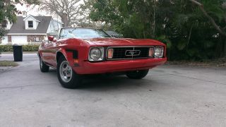 1973 Ford Mustang photo