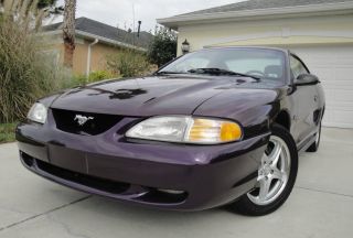 1996 Ford Mustang Gt Coupe 2 Door 4.  6l V - 8 Automatic Violet Metallic / Blk photo
