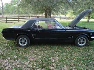Mustang Sally - Last Listing 1966 Mustang C Code Auto / Fac A / C / Vinyl Top - Sweet photo