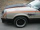 1979 Ford Mustang Indy Pace Car 302 5 Spd 8.  8 Rear Hot Rod Classic Collector Car Mustang photo 2