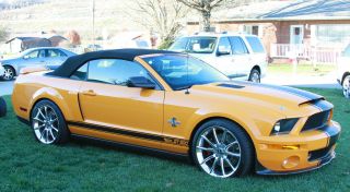 2007 Gt500 Snake Limited Edition photo