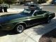 1973 Ford Mustang Convertible All Records Mustang photo 1