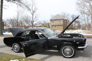 1966 Mustang - 