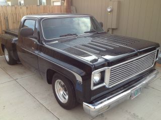 1976 Chevrolet Stepside - - Lowered,  Louvered,  Coustomized photo