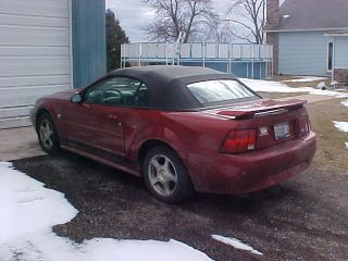 2004 Ford Mustang 40th Anniversary Edition Convertible Red / Tan photo