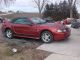 2004 Ford Mustang 40th Anniversary Edition Convertible Red / Tan Mustang photo 3