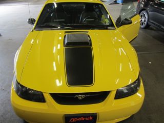 2004 Ford Mustang Mach I Coupe 2 - Door 4.  6l photo