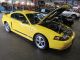 2004 Ford Mustang Mach I Coupe 2 - Door 4.  6l Mustang photo 1