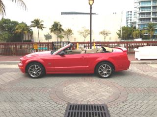 2005 Mustang Gt Convertible Automatic Red With Cobra Rims photo