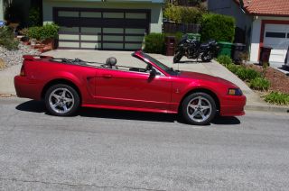 2001 Ford Svt Mustang Cobra Convertible,  Laser Tint Red Clearcoat photo