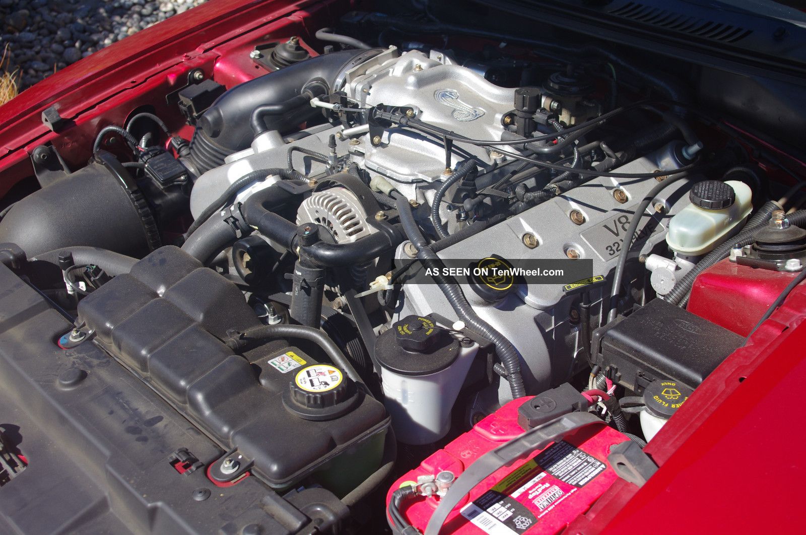 2001 Ford Svt Mustang Cobra Convertible Laser Tint Red