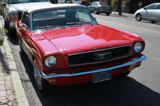 1966 Candyapple Red Ford Mustang photo